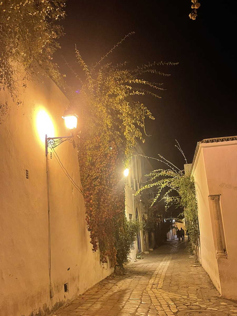 Walking through the interview season !
Always grateful for this amazing journey.
So many inspiring candidates and so many 
beautiful stories !
Keep going, it’s almost over 🫡
#usmle #MATCH2026 <a href="/TheUSMLE/">USMLE</a> <a href="/imghelpinghand/">IMG Helping Hands</a> #residency