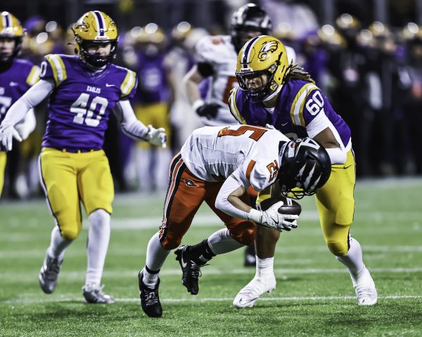 Mark Perez-Krywany tweet media