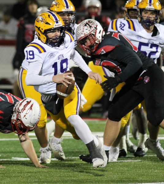 Mark Perez-Krywany tweet media