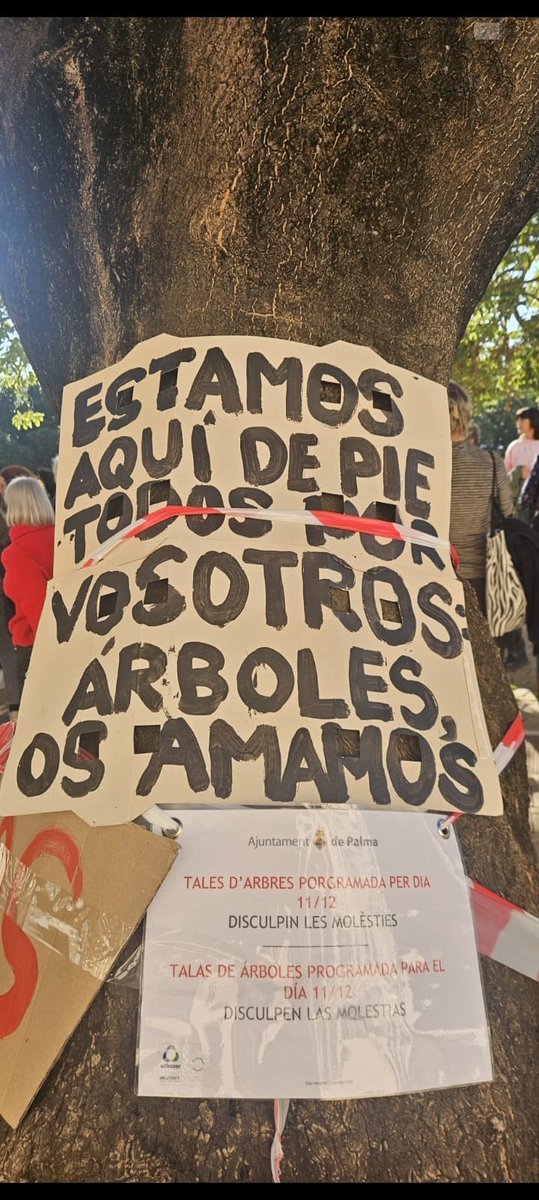 ⚠️DEMÀ DIA 11 DE DESEMBRE ⚠️URGENT: ATUREM LA TALA DELS 🌳 BELLAOMBRES DE LA PLAÇA LLORENÇ VILLALONGA
Et necessitam per fer una cadena humana.
👉Més info: tinyurl.com/584vjvt6
📅 Dijous 11 de desembre
🕖 Hora: 7 am
📍 Lloc: Plaça Llorenç Villalonga (Palma)
Defensar-los ara o