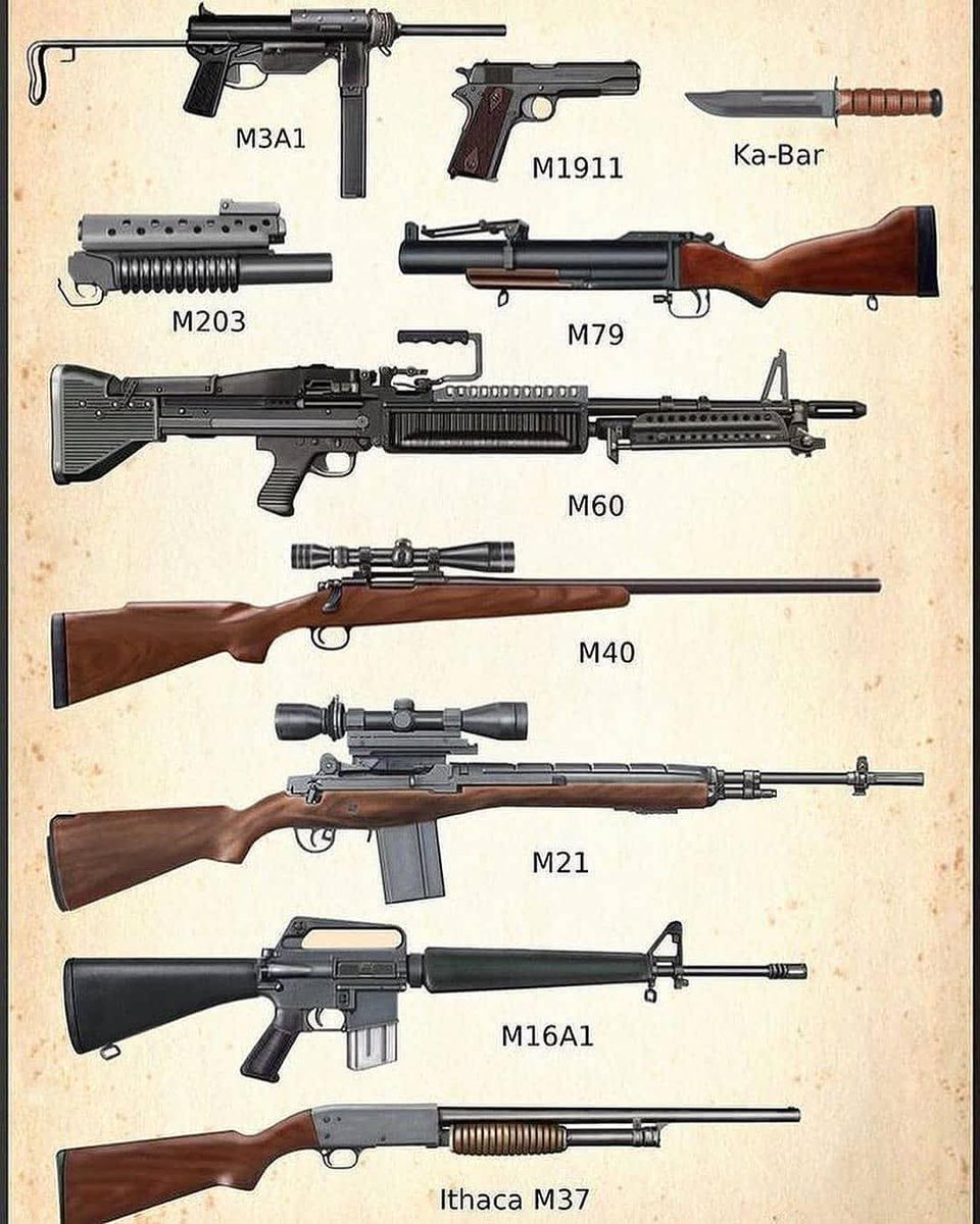 Daily Gun Dose tweet media