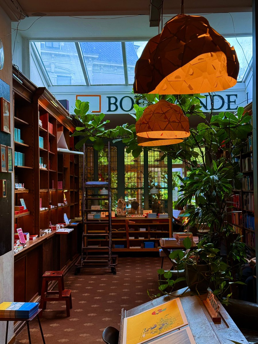 naklecha tweet media