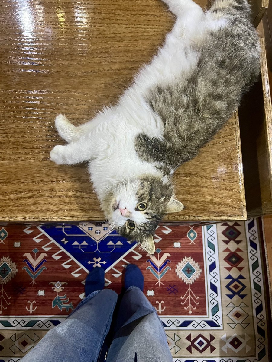 _3B90's tweet image. شوفو البسة 🤍😔