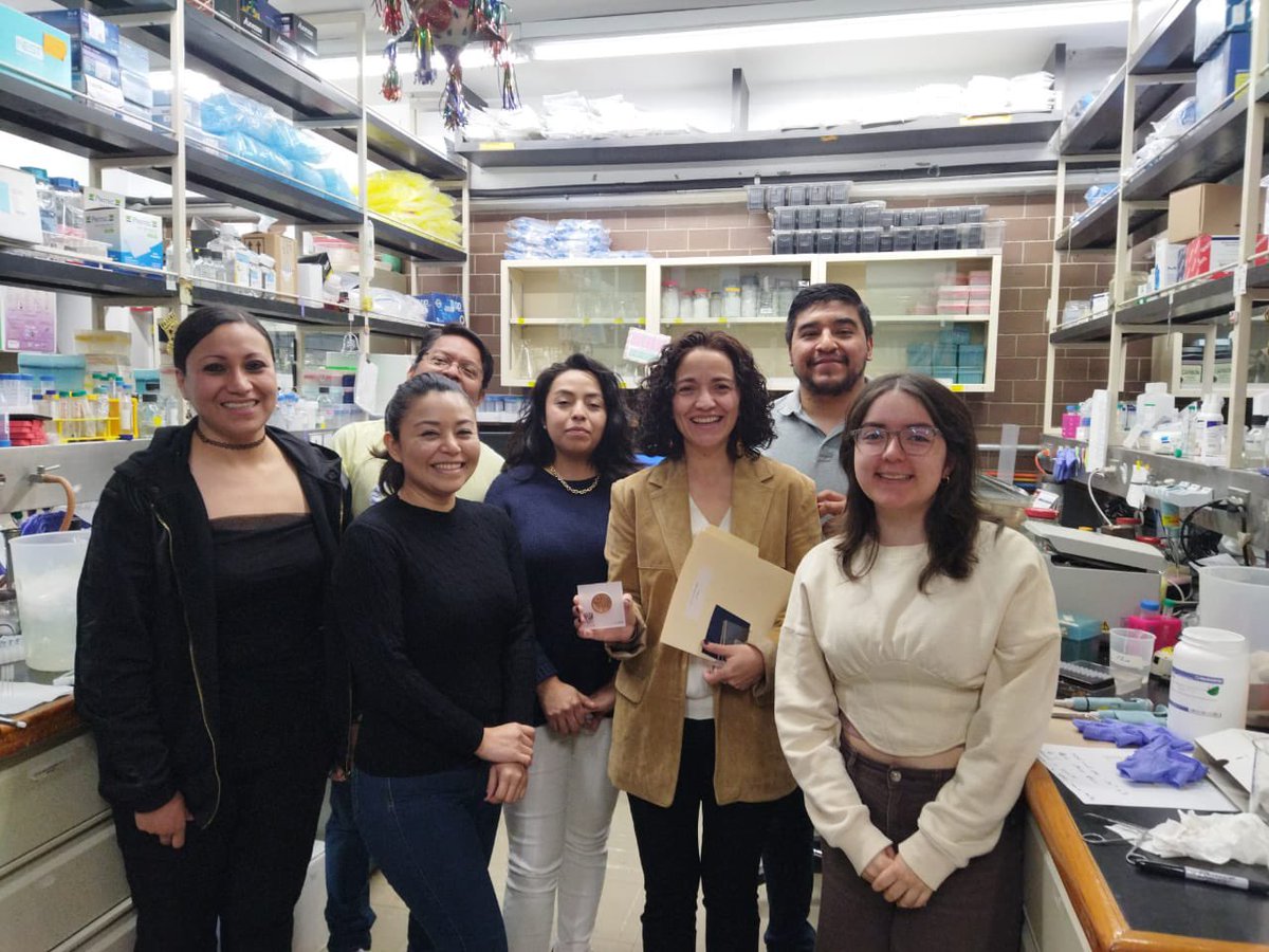 Licona-Limón P-Lab tweet media