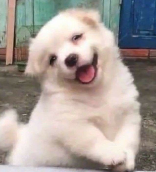 prodbykeon's tweet image. 