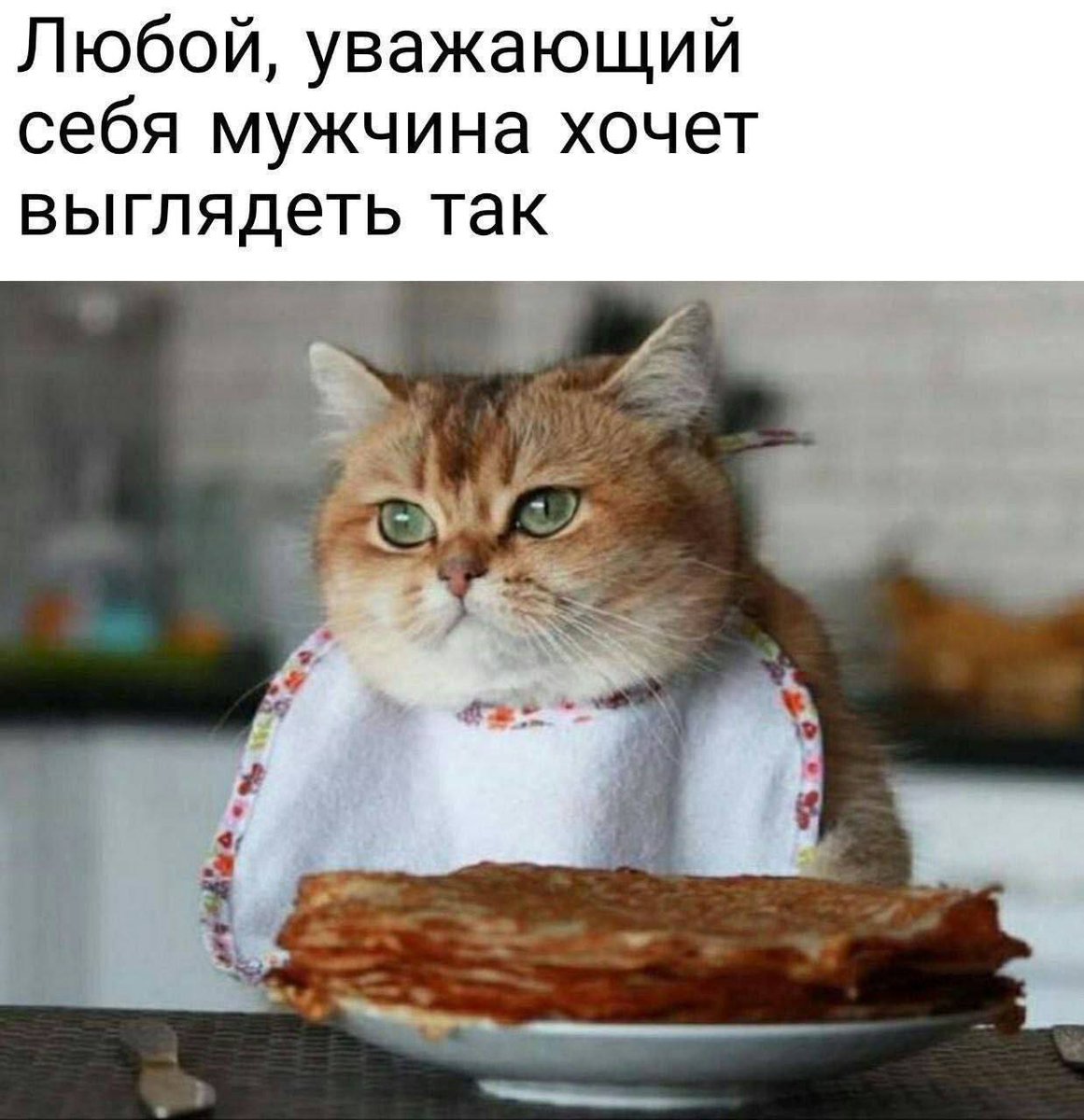 juliamayko's tweet image. 