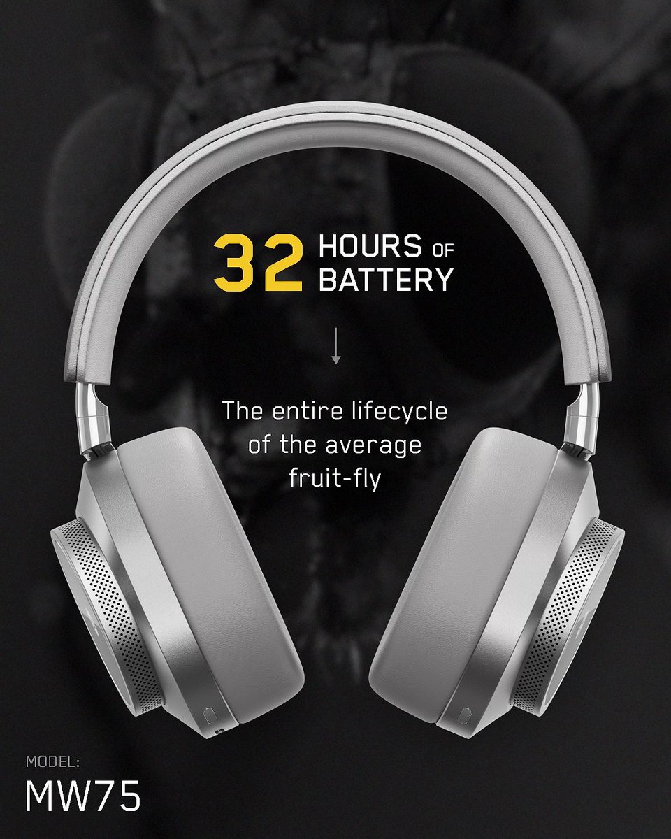 Master & Dynamic tweet media