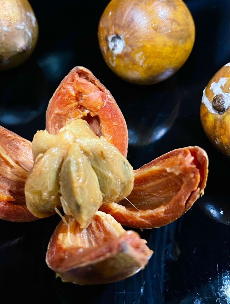 Grachi✪ tweet media