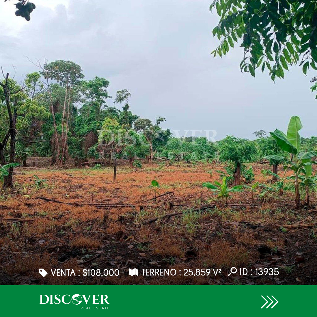 DiscoverRealtor's tweet image. 🌴 Corn Island: donde la vida y la inversión se equilibran.

Un terreno amplio y estratégico, ideal para proyectos sostenibles o desarrollos con esencia caribeña.

📍 Corn Island
💰 $108,000
📐 25,859 v²
🔑 ID 13935

📲 +505 8883-2200
#DiscoverRealEstate #CornIsland #Inversión