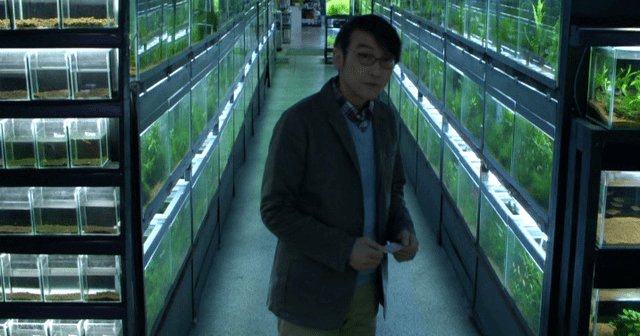 Cold Fish (2010)
Dir. Sion Sono
2h 24m
🇯🇵

drive legendado pt-br