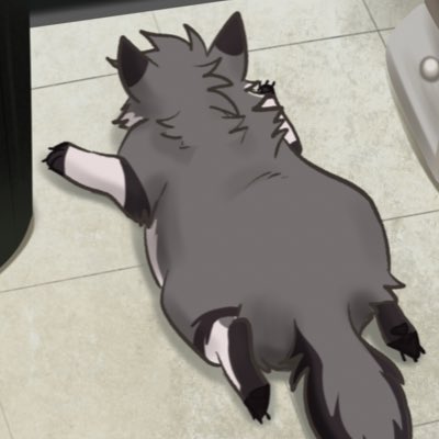 Kyash! 🐺 💫 tweet media