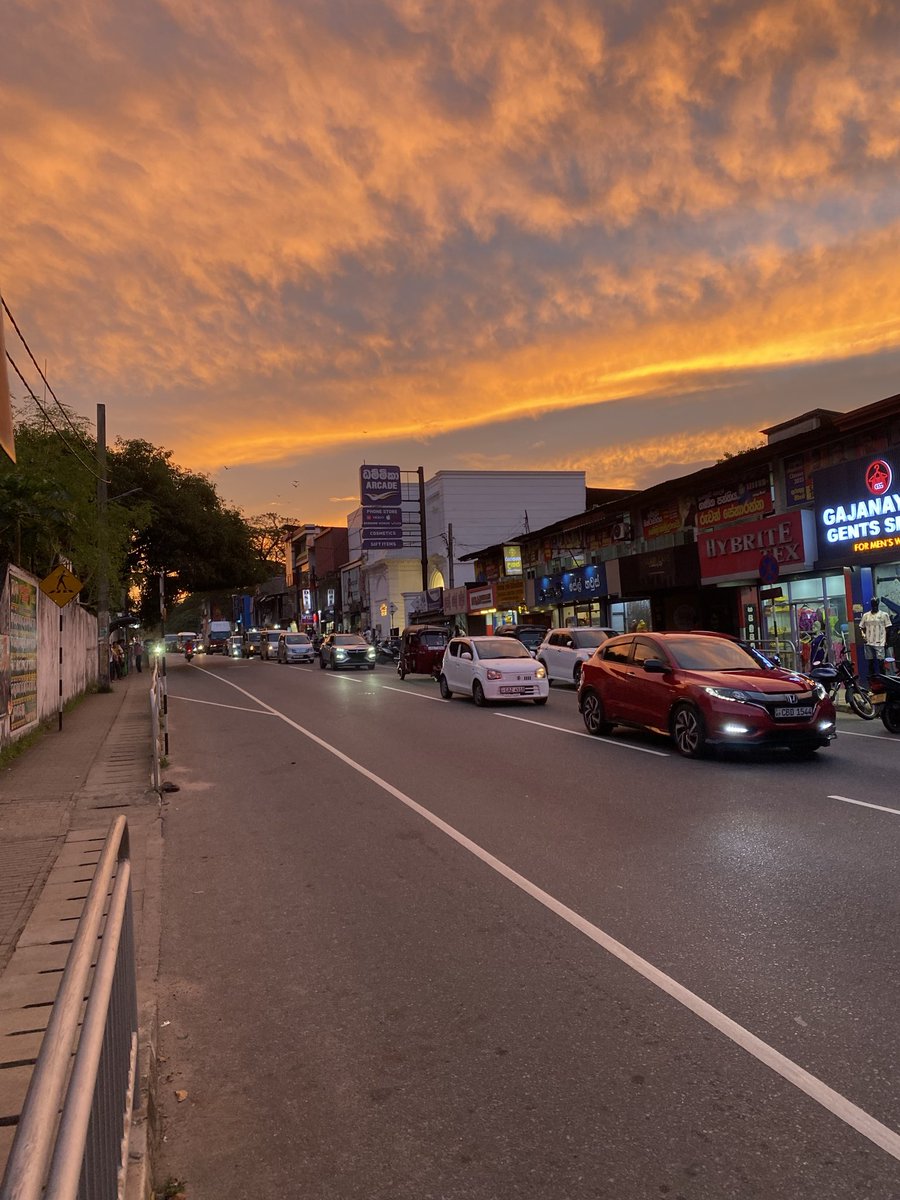 本日はこんな感じでした