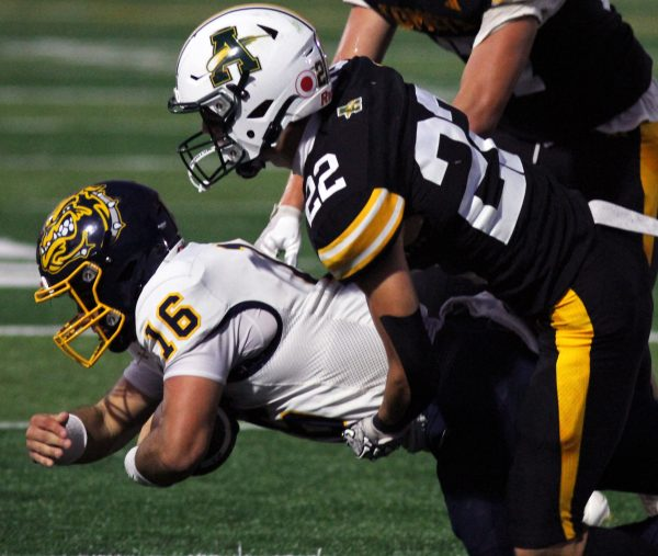 Mark Perez-Krywany tweet media