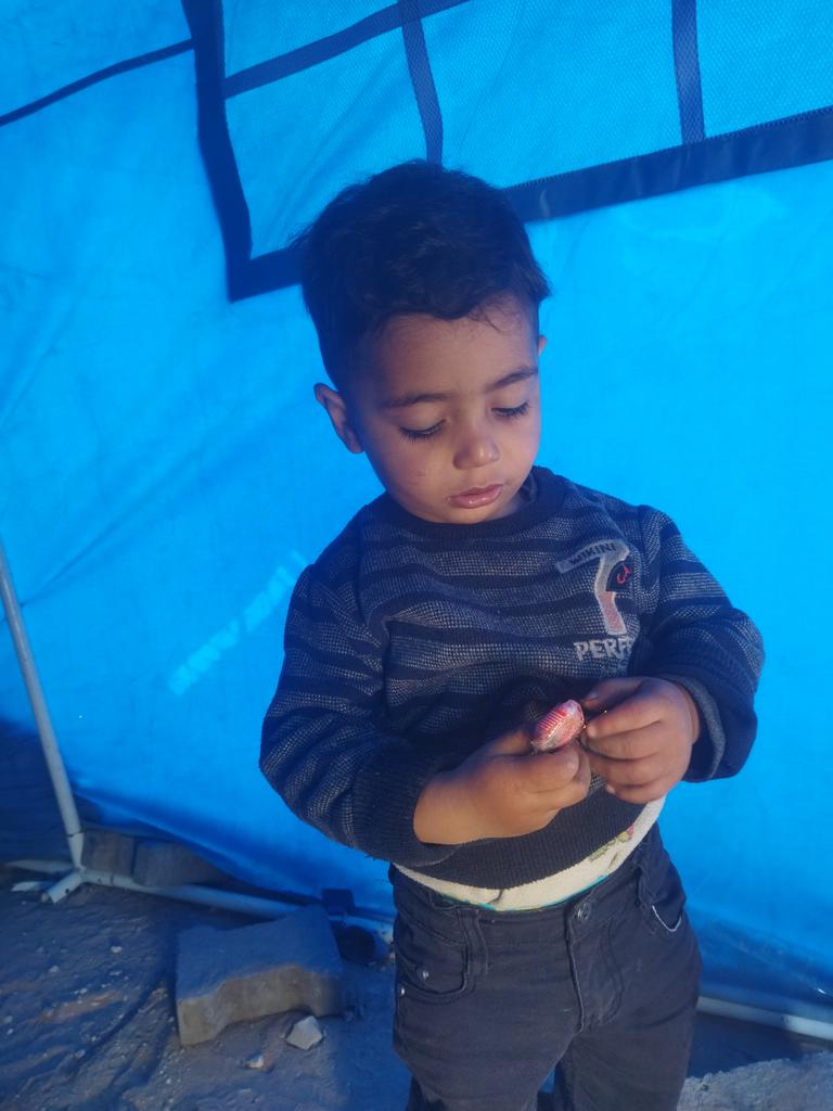 Reem Hamad tweet media