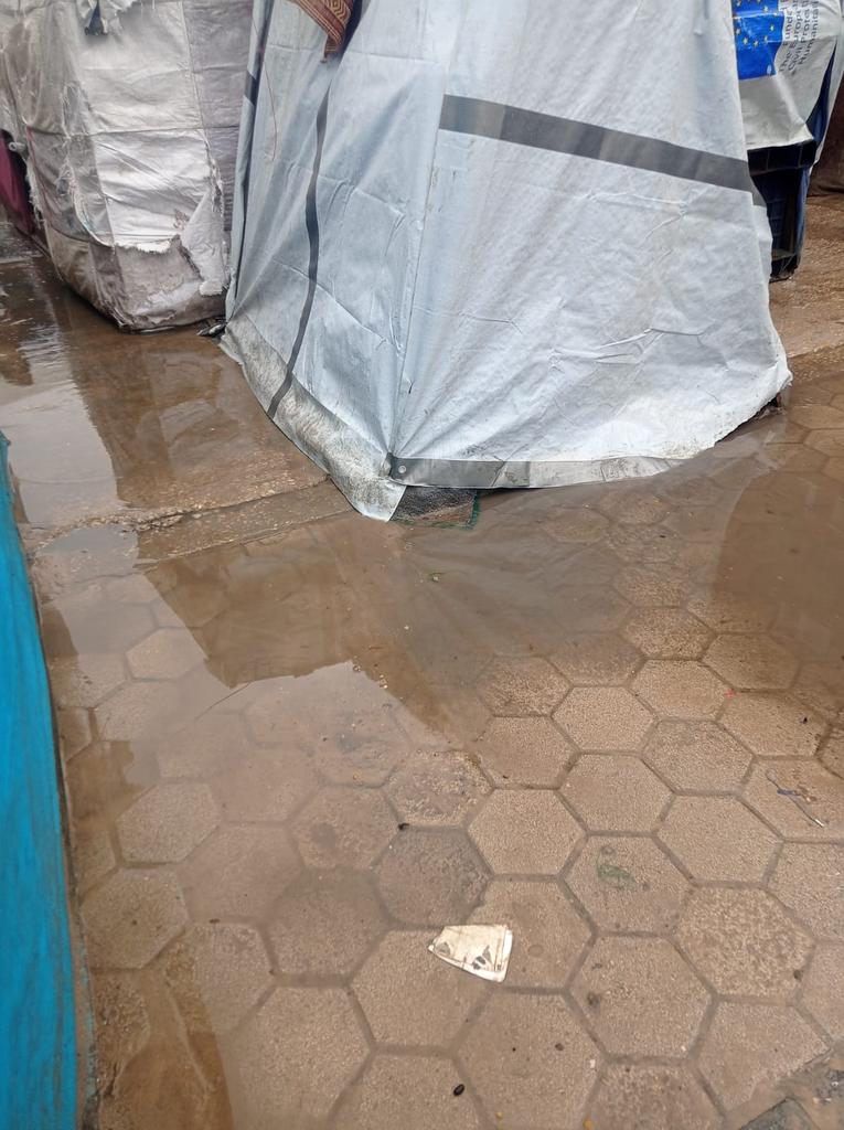 Reem Hamad tweet media