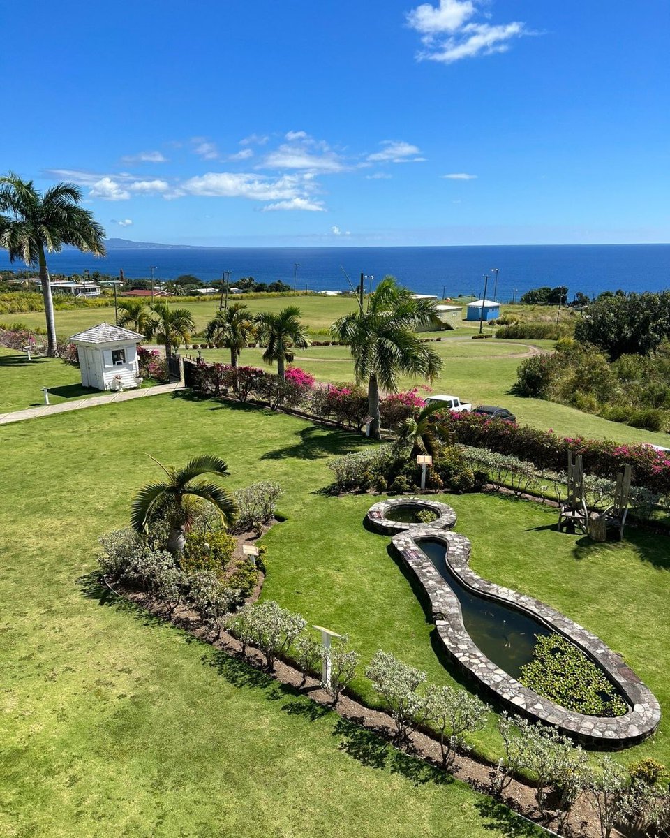 DanielRes2025's tweet photo. A peaceful corner of the Nevis Botanical Gardens, where tropical blooms, sculpted pathways, and ocean views come together in one unforgettable setting.

👉 https://t.co/AHg8l9gR16

#DanielResidences BotanicalGardens #StKittsAndNevis https://t.co/4XO6zZqwOu