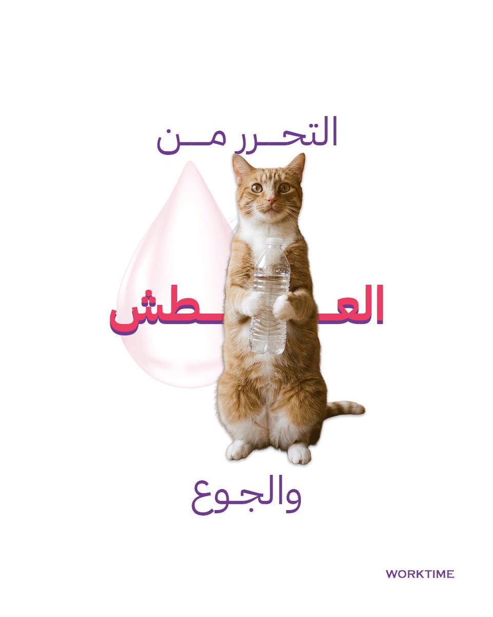 Timework_sa tweet picture