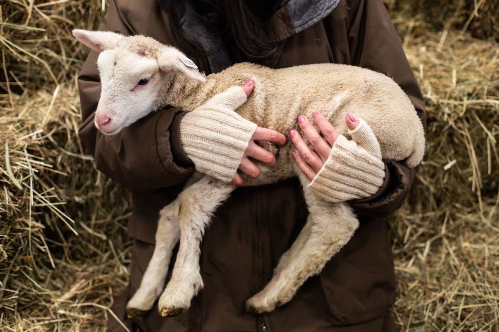 sweet dreams of holly and ribbon
a rutag christmas story
1/2

archiveofourown.org/works/75552756…