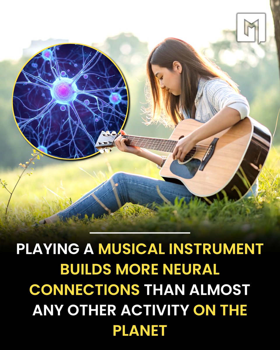Studies reveal that playing a musical instrument builds more brain connections (neuroplasticity) than almost any other activity. It engages the auditory, motor, and visual areas simultaneously, strengthening neural pathways 💫💫💫 

#brainhealth #health #healthnews #edtech