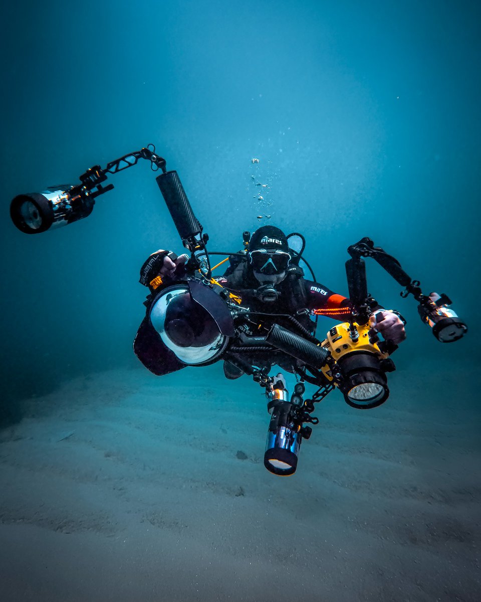 Scuba Diving Lover tweet media