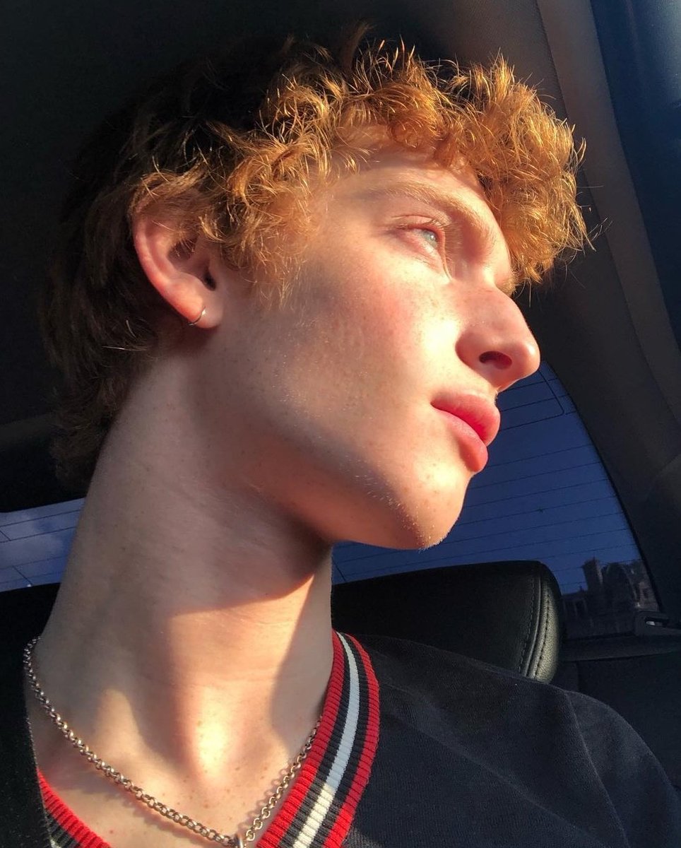 𝗠𝗔𝗥𝗔𝗨𝗗𝗘𝗥𝗦 ˗ˏˋ 𝑹𝒐𝒔𝒆𝒘𝒐𝒐𝒅 ˎˊ˗ tweet media