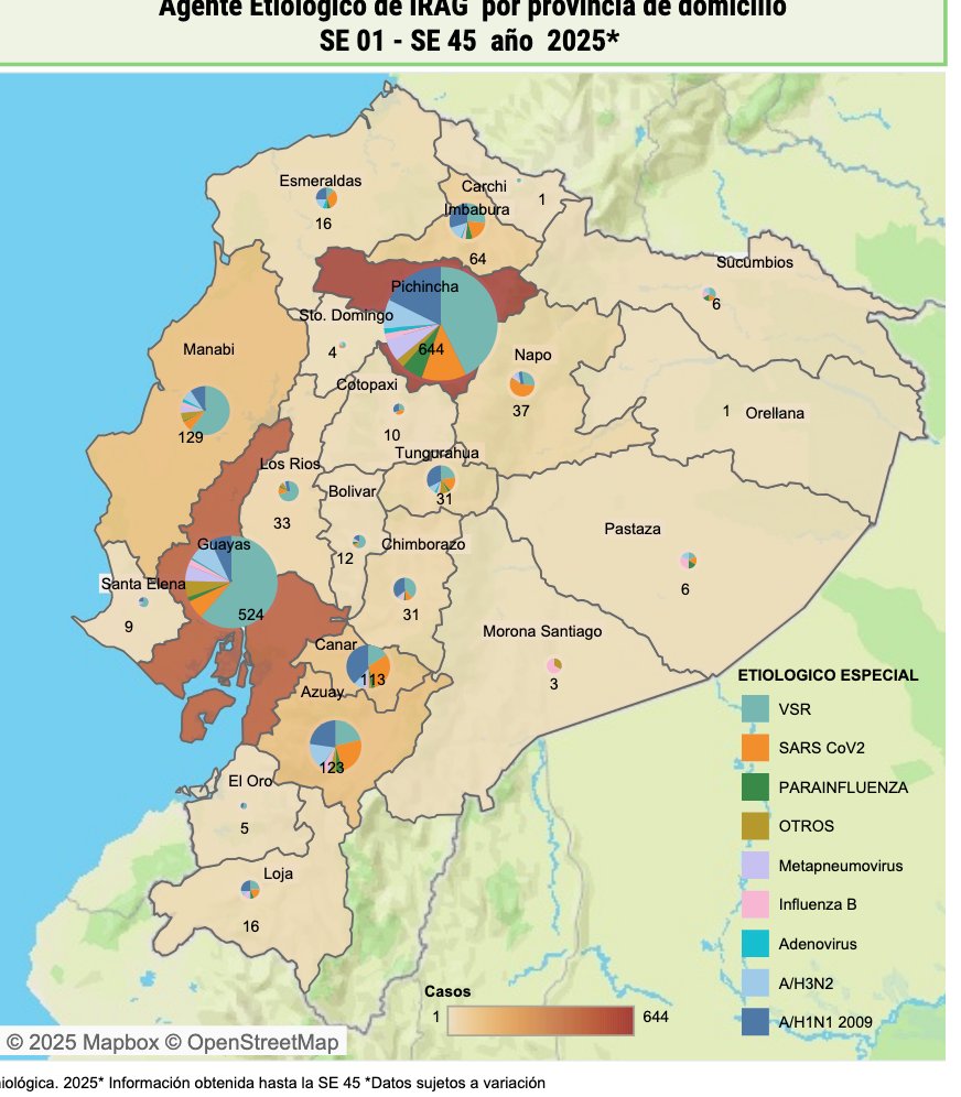 EstebanOrtizMD's tweet image. 🚨alerta sanitaria 🚨 
En Ecuador, los casos de Inf. resp. Agudas Graves estan en aumento.  
Has notado que la gente esta  mocosa, les arde la garganta, mucho ausentismo laboral? pues si,  la estacionalidad está en su pico. Para que tengan una idea, hasta la Semana Epidemiológica…