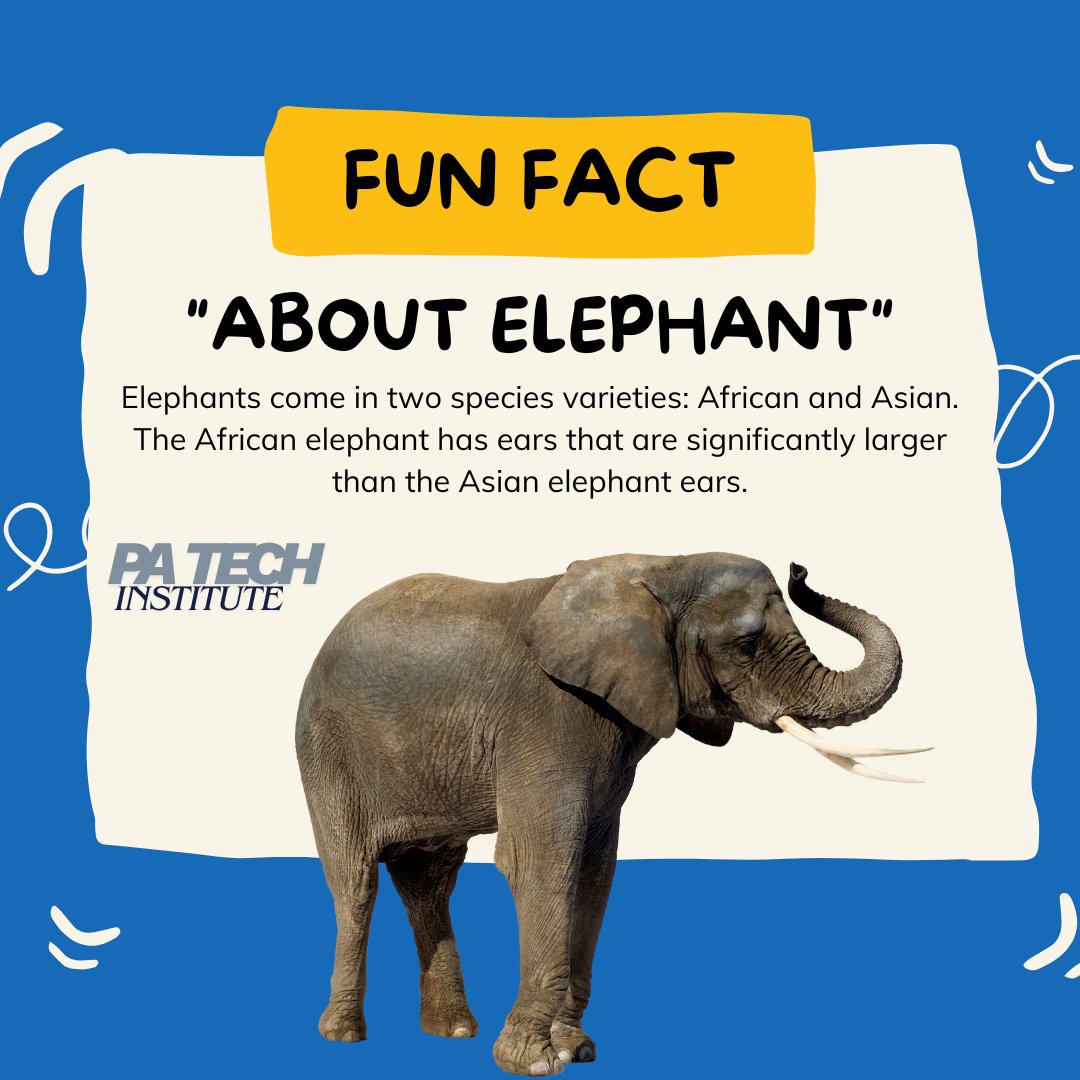 TechInstitutePA's tweet photo. Fun Fact about Elephant 🐘

#funfacts 
#unknown 
#unknownfacts 
#PPSC 
#css 
#learning 

#CodeYourLife
#PATechInstitute
#ScienceofUniverse
#LearnToday_LeadTomorrow https://t.co/KdyCRxVUvT