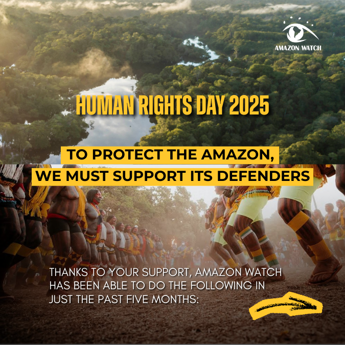 On #HumanRightsDay, we honor Earth Defenders of the Amazon, one of the deadliest places in the world for enviro defenders. Through our Amazon Defenders Fund, your support is safeguarding leaders, &amp; this month, our Board is matching gifts up to $60K. ✨
amazonwatch.org/donate