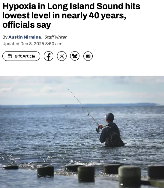 rosadelauro's tweet image. Efforts in restoring East Coast's 2nd largest estuary are paying off!

Hypoxia levels found in the Long Island Sound have reached some of the lowest levels found in the last 40 yrs, allowing for growth of marine life and shoreline communities that depend on the Sound.