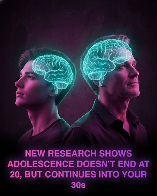 Brain scans show growing up takes far longer than we thought.

Adolescence doesn’t quietly close its doors at 19 or even 25—according to a major new analysis from University College London, the human brain continues its most critical phase of maturation deep into the 30s.

By