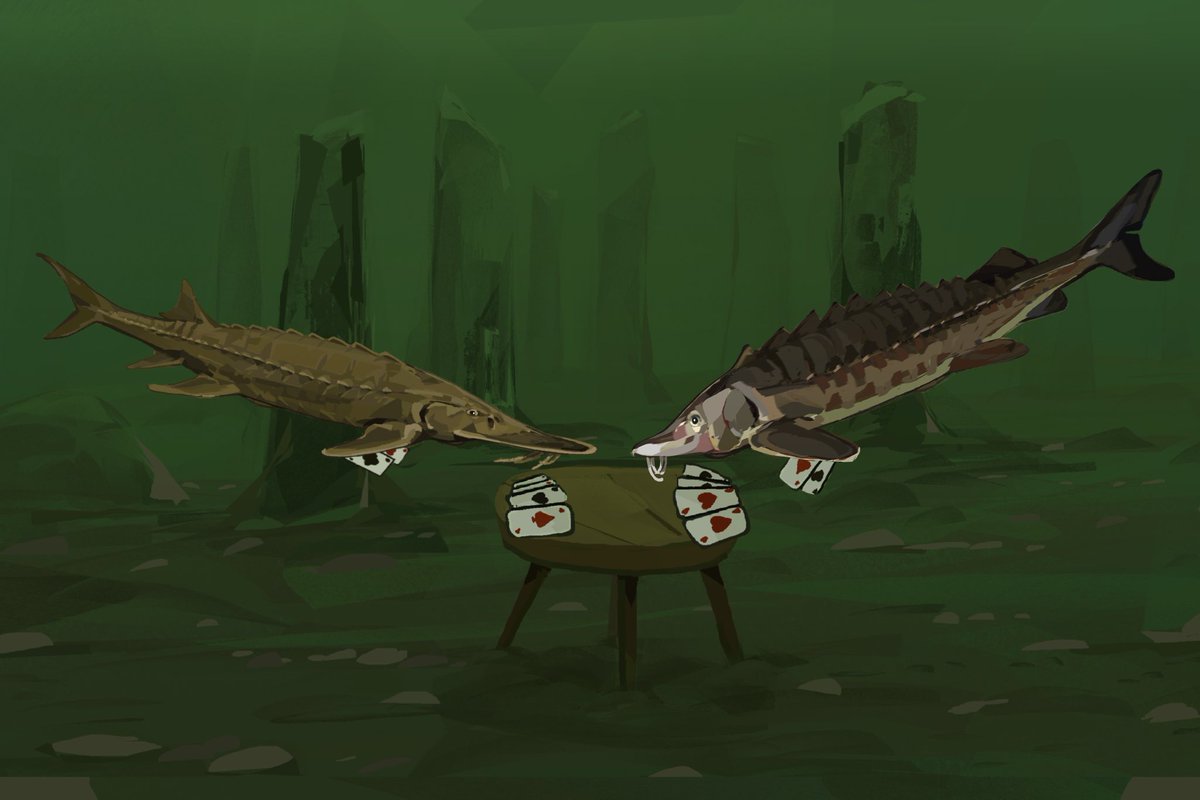 Sturgeons playing poker