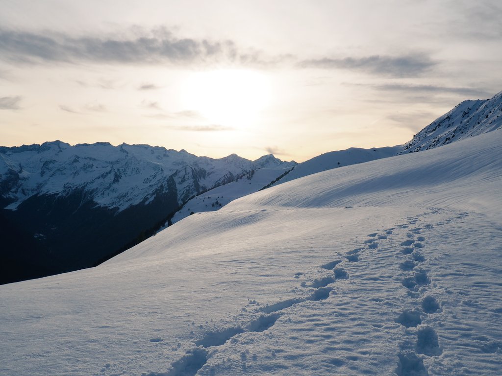 adventicia 🍃 tweet media