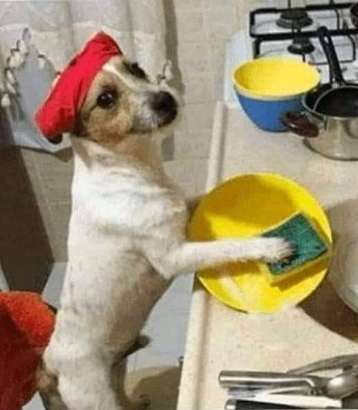 Mezuna kalır rahat rahat çalışırım dedikten sonra evde bana uygulanan tarife; #yks2026