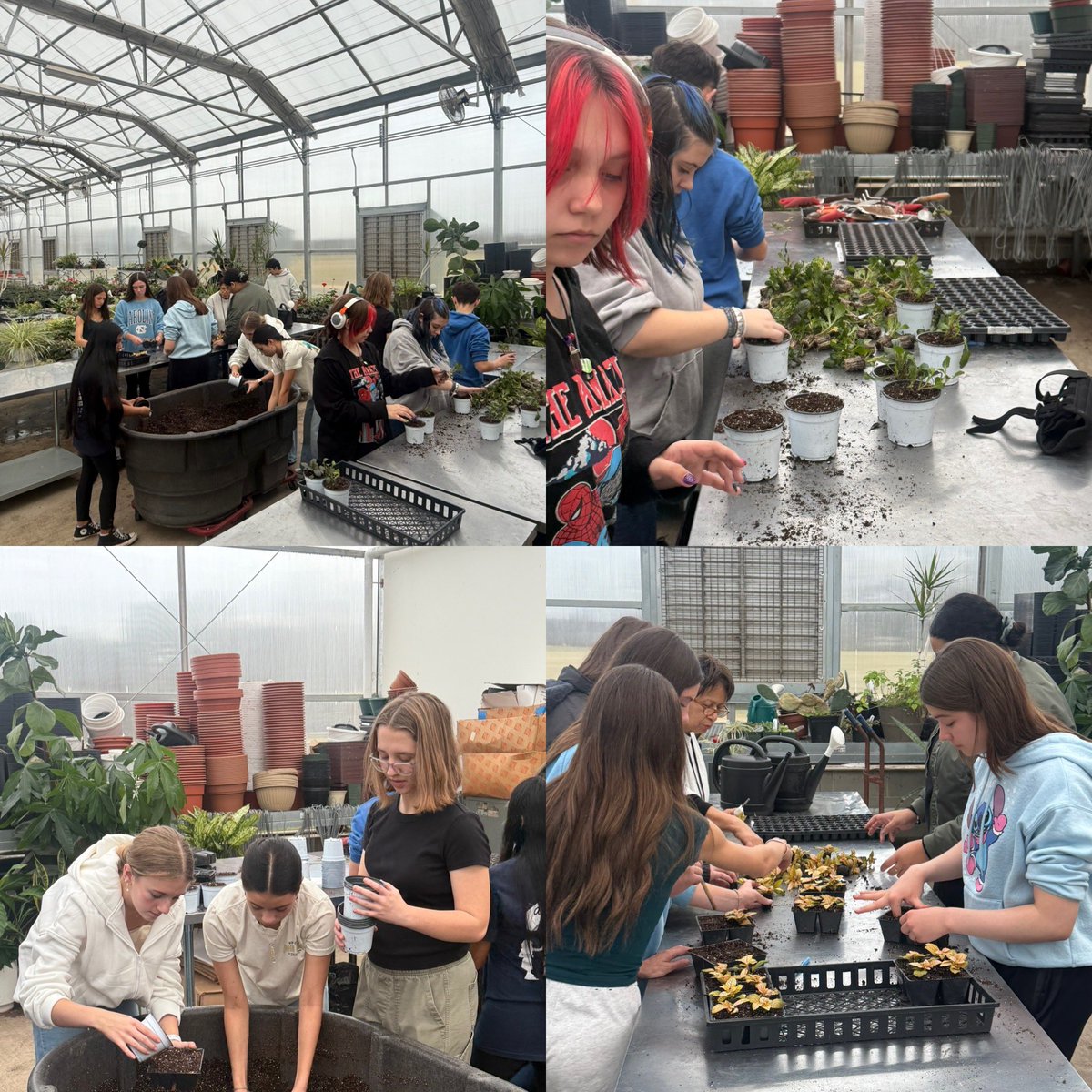 Brian Hayes 🇺🇸🦅 tweet media