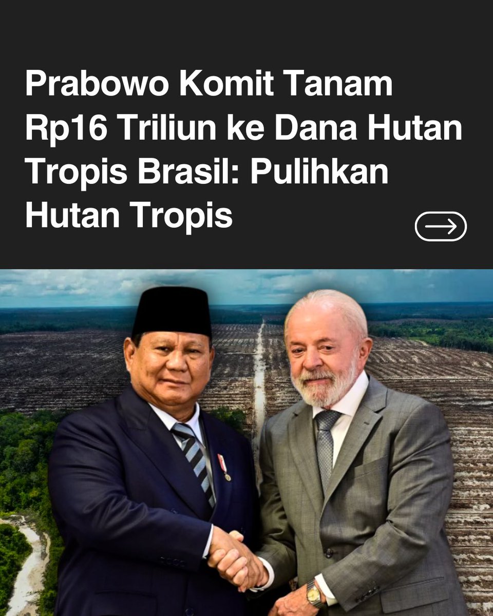 Randomly tweet media