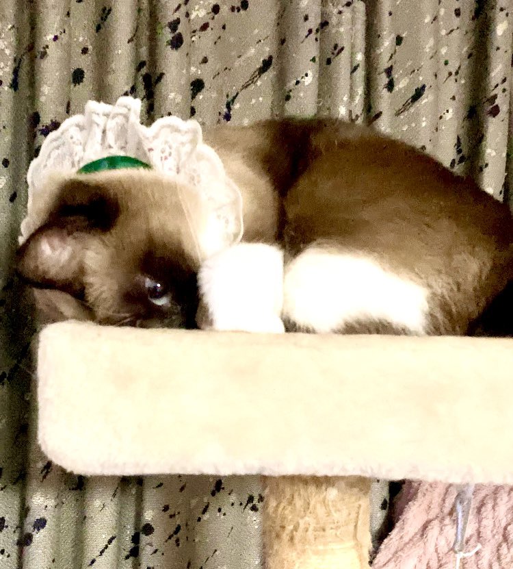 パリピア😻✨ (@NW6hX5NzGOqMVAw) / Posts / X