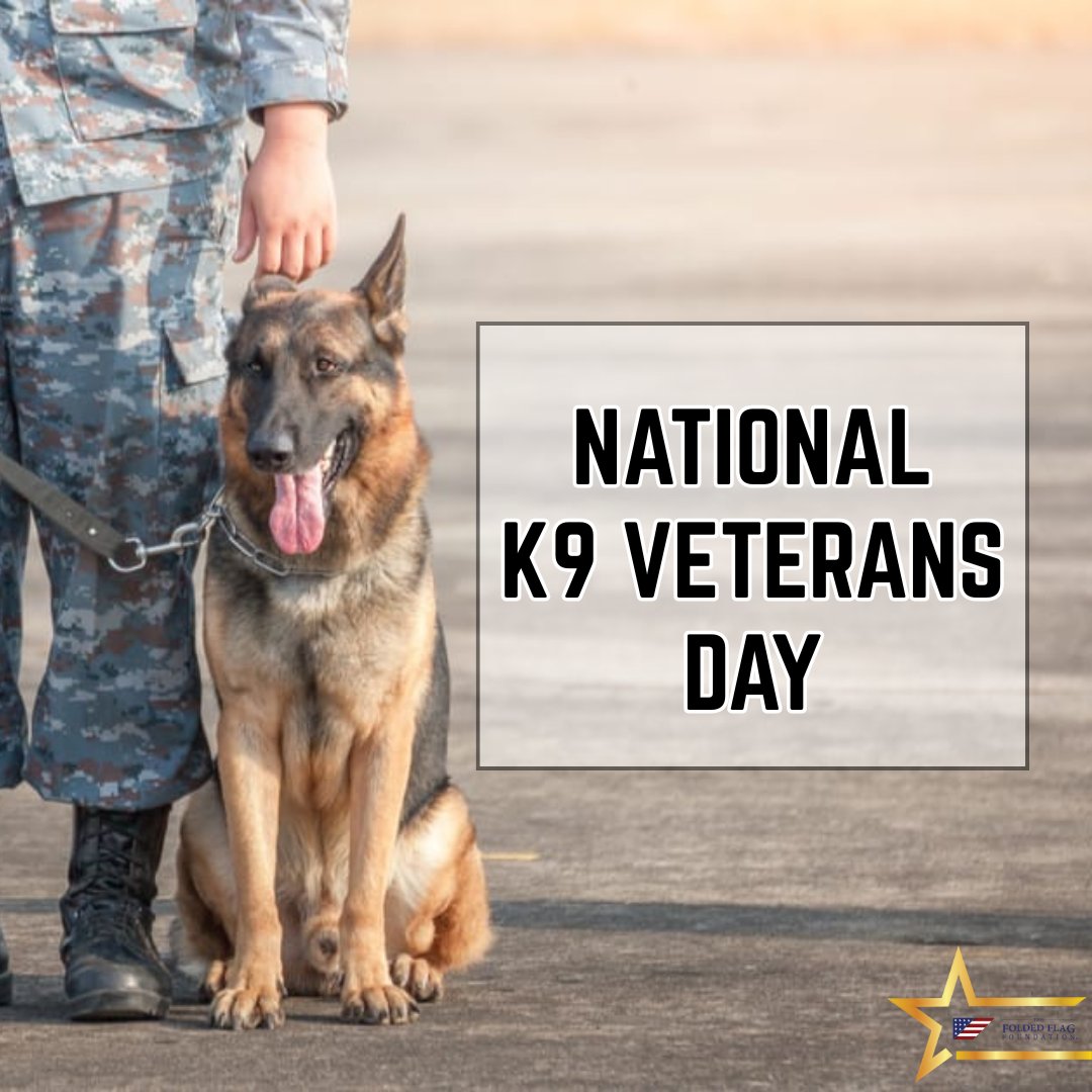 Folded Flag tweet media