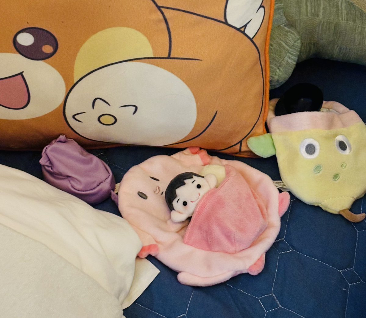 gattolibero︎︎︎︎︎︎︎︎︎ (@gattolibero555) / Posts / X