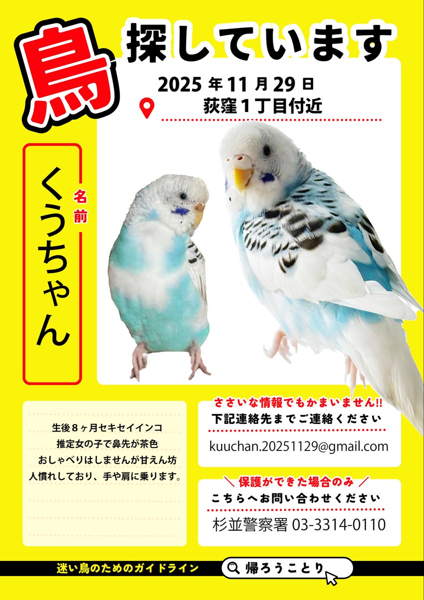 RT @UamG8b: 2025年11月29日（土）11時ごろに杉並区荻窪の自宅から青い