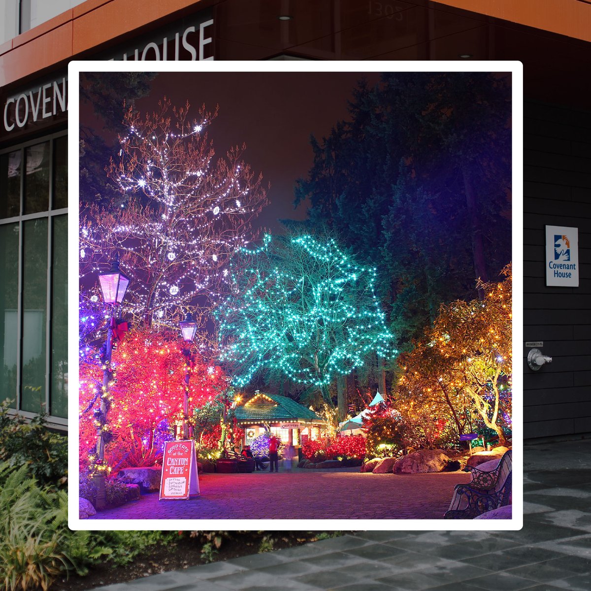 Covenant House Vancouver tweet media