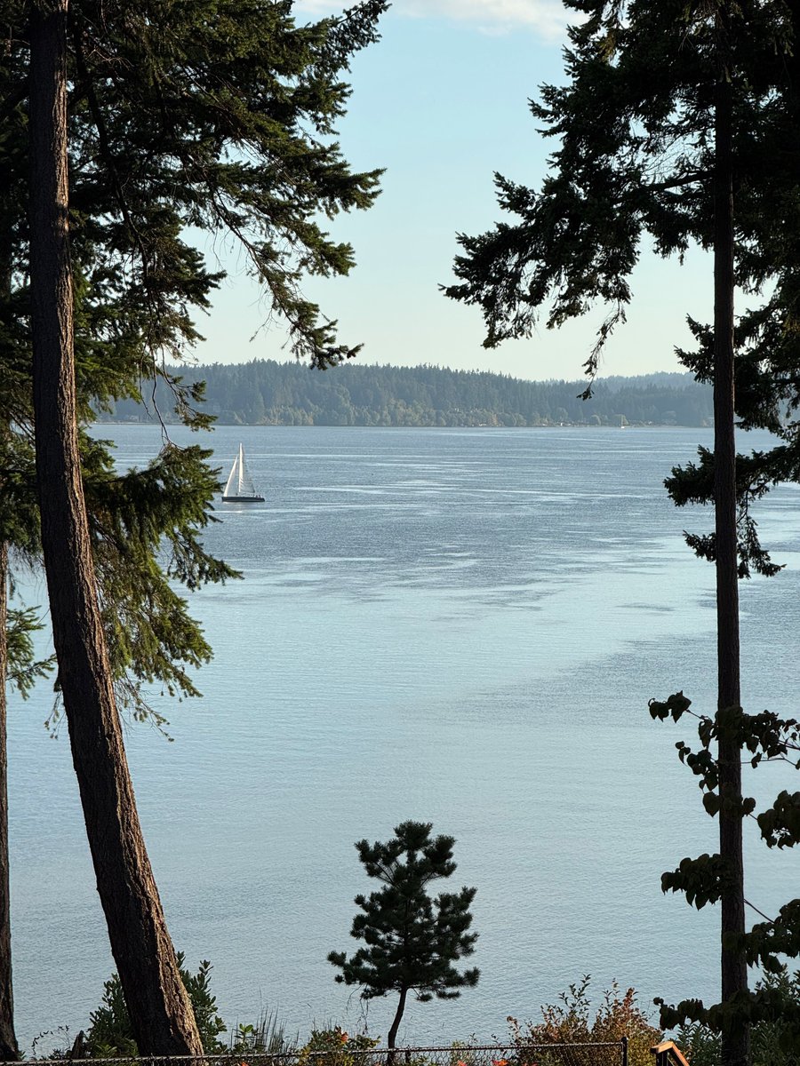 Clearwaterisfun's tweet image. Where calm waters and timeless views set the perfect Northwest escape. 🌲⛵️ What adventure will you find here next?

#ClearwaterCasinoResort #ExplorePNW #PNWGetaway #SailingLife #WaterfrontRetreat #ResortVibes #VisitWashington