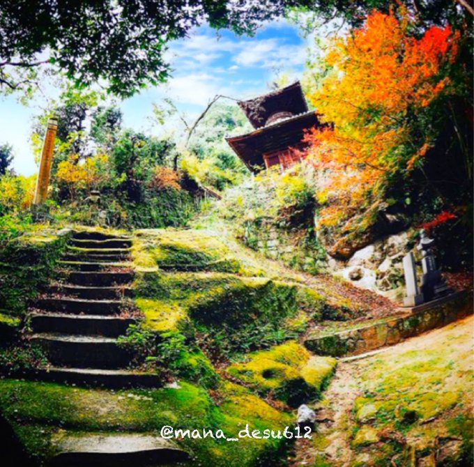 \[V}KWwRXfBAhbgR!!x:ŐV𐏎XV!!