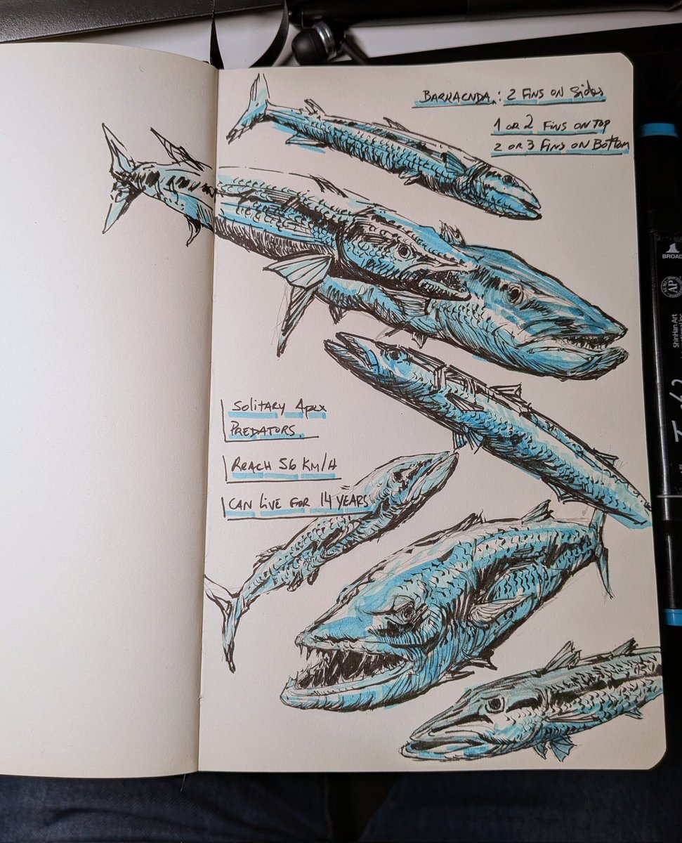 Jorge Jacinto tweet media