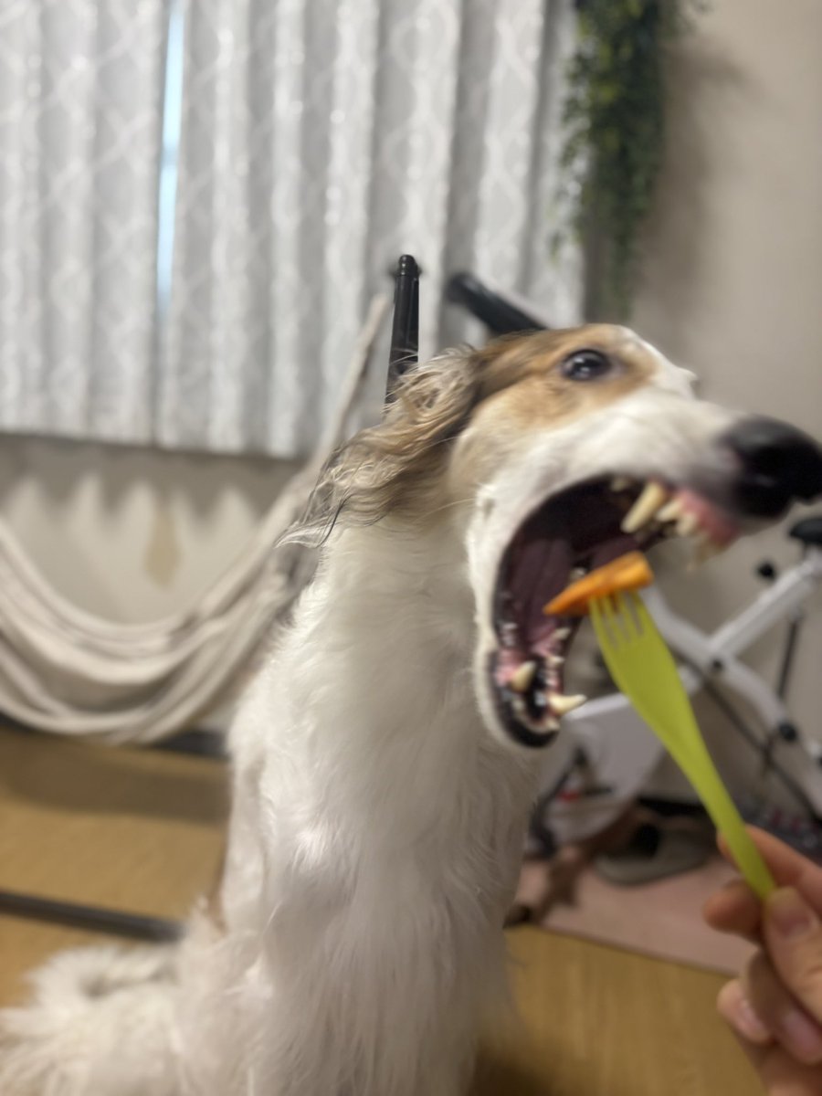 かわいいψ (⸝⸝⸝´༥`⸝⸝⸝) ŧ‹"ŧ‹"