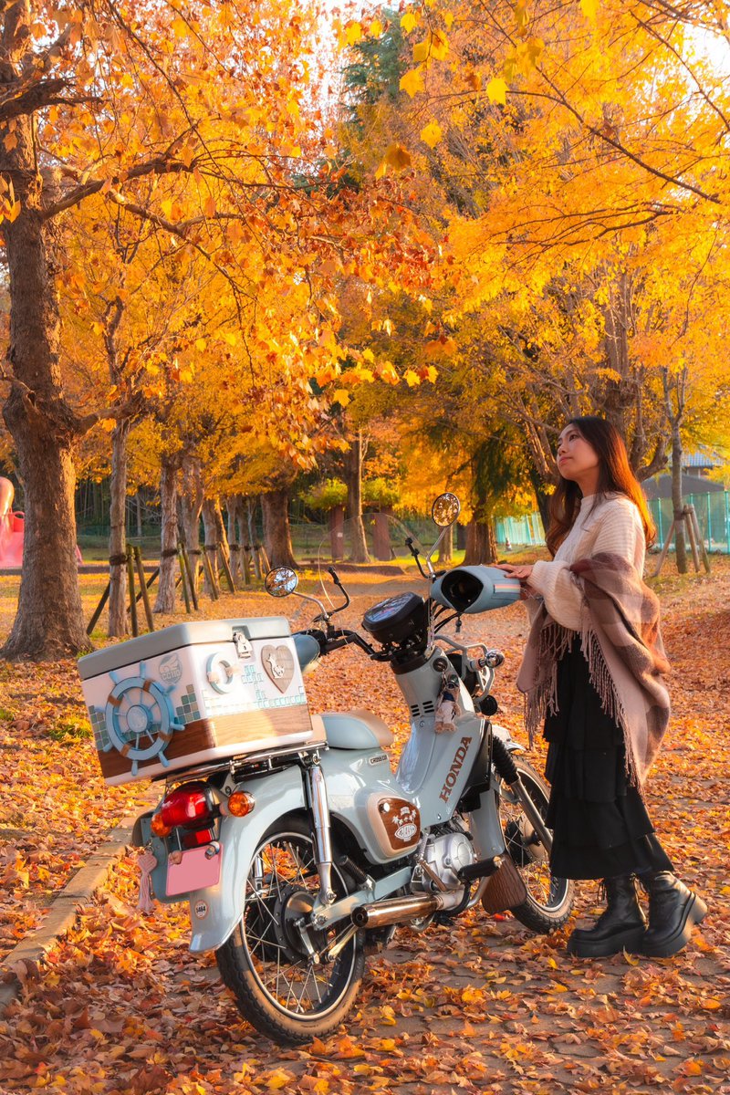 なっちゃん (@723cc110puko) / Posts / X