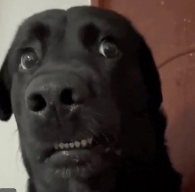 Lea_EFC's tweet image. It took Martin Zubimendi only 22 minutes tonight to register more Champions League G/A than Alexander Isak has managed in his whole career 👀