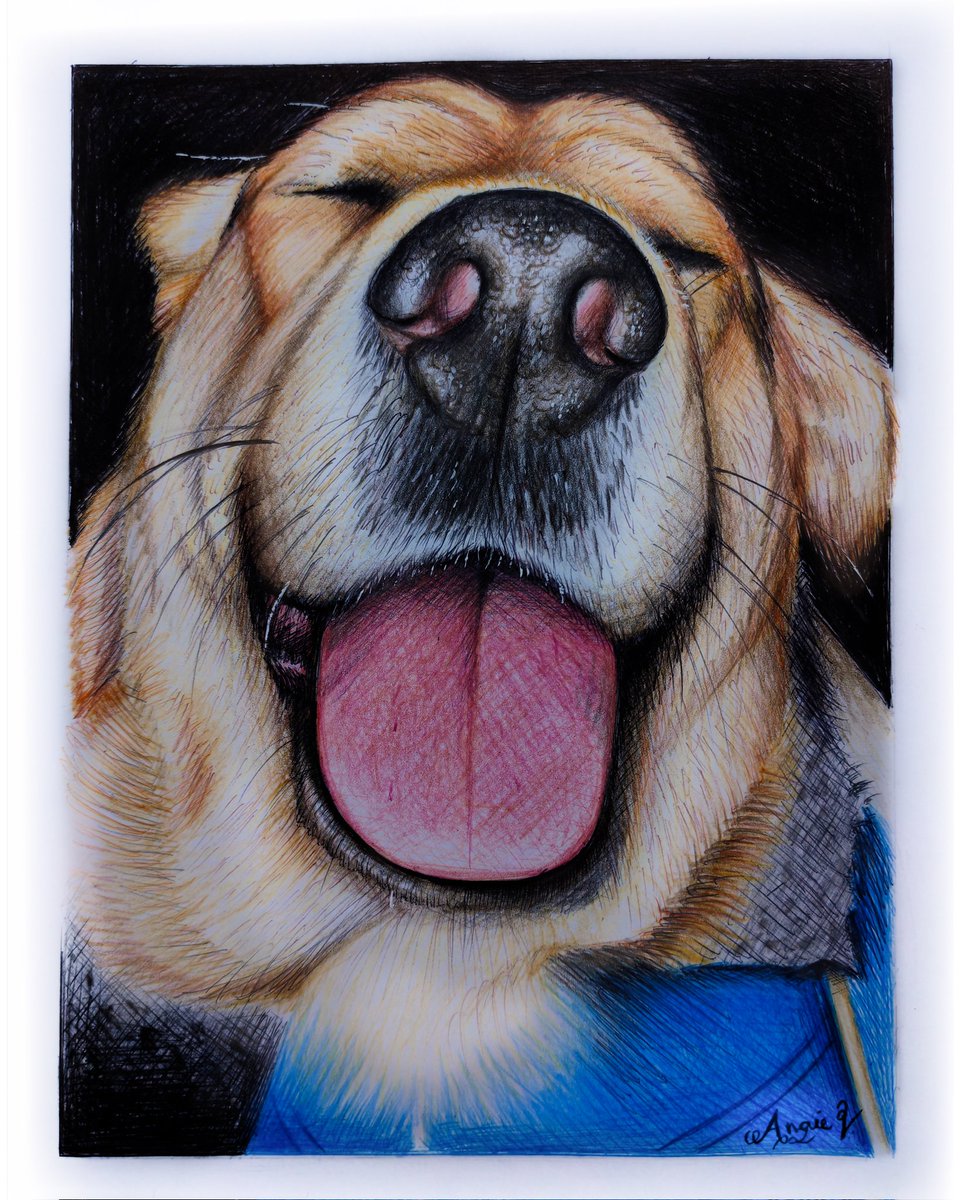 Korosu__G's tweet photo. Terminado ✍✔
Dibujo bajo pedido
Perrito 🖤
Bolígrafo y colores 🖊️
#Dog #DogDrawing #Draw #Drawing #Art https://t.co/RWrmPAobXB