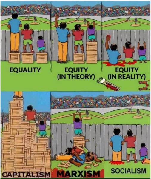 SlowButABro's tweet image. 