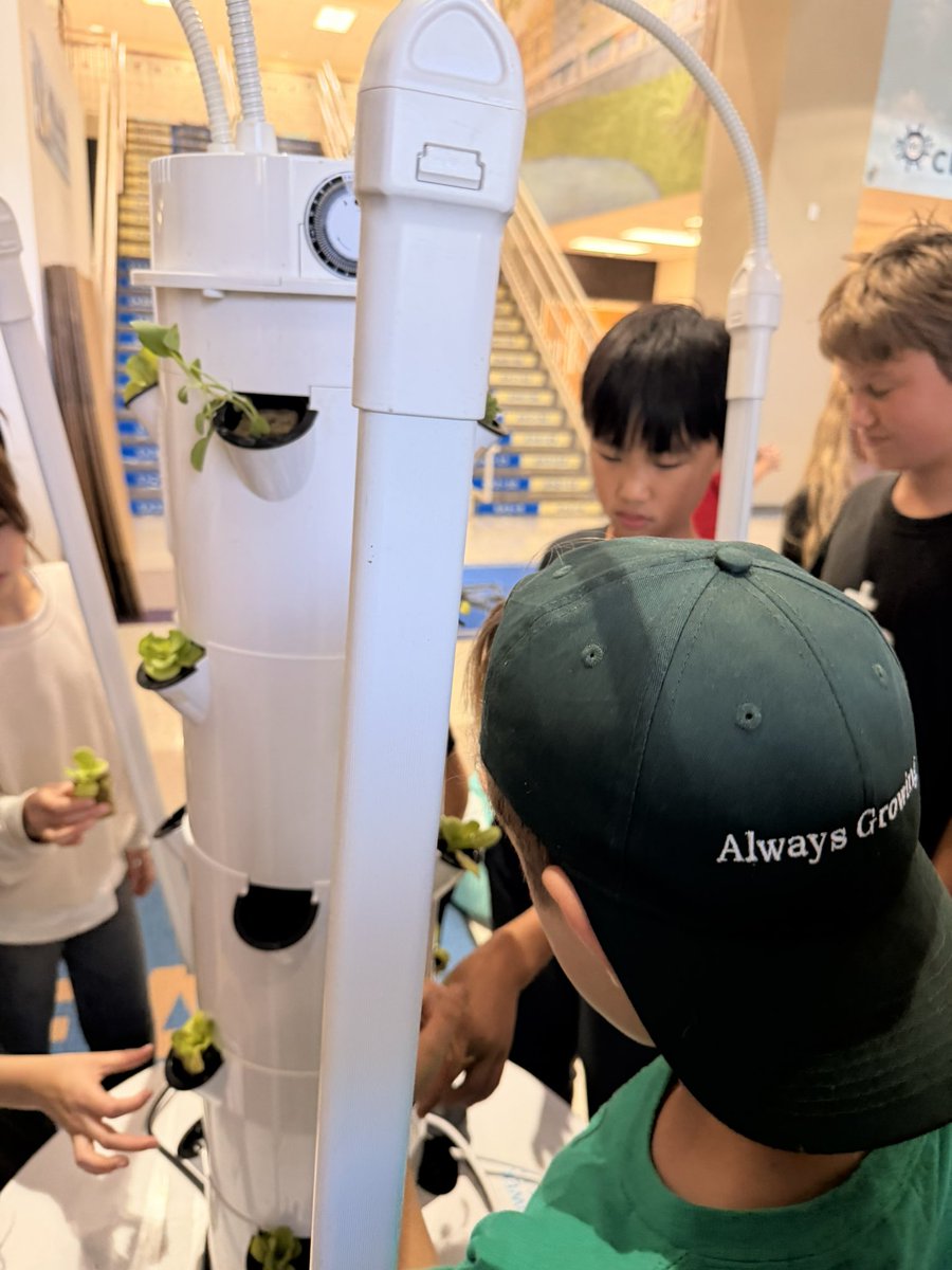 AvalonElem_OCPS's tweet photo. Your students may notice Vertie, our Tower Garden, at the main entrance. Garden Club filled it with water, balanced its pH levels and planted lettuce, bok choy, lavender and kale. It'll be ready to enjoy after Christmas break! #ocpsgreen #alwaysgrowing #WeAreAvalon https://t.co/WpKu1shOoh