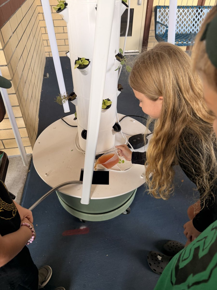 AvalonElem_OCPS's tweet photo. Your students may notice Vertie, our Tower Garden, at the main entrance. Garden Club filled it with water, balanced its pH levels and planted lettuce, bok choy, lavender and kale. It'll be ready to enjoy after Christmas break! #ocpsgreen #alwaysgrowing #WeAreAvalon https://t.co/WpKu1shOoh